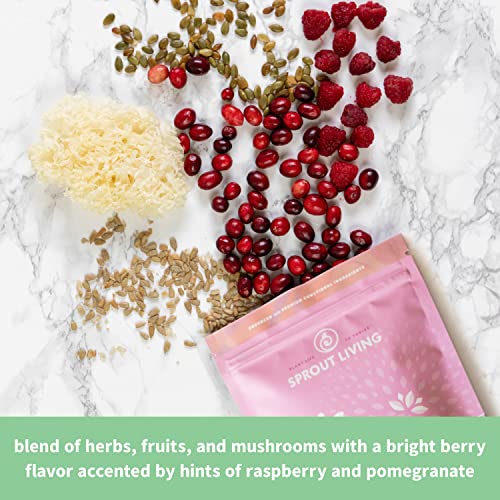 Sprout Living Epic Protein, Plant Based Protein & Superfoods Powder, Pro Collagen, Sprout LivingUS supplements