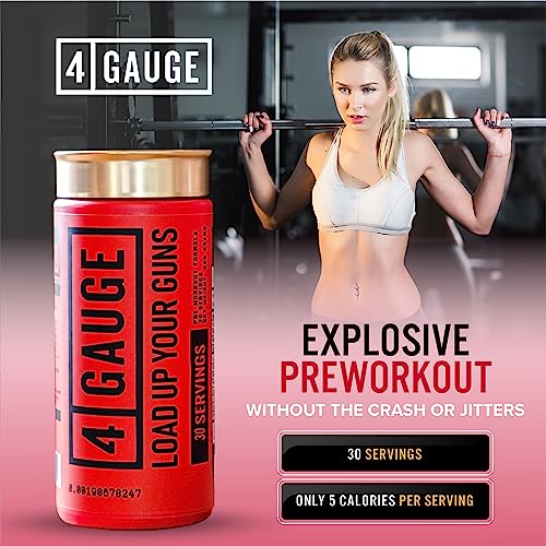 4 Gauge Natural Preworkout Without The Jitters | 30 Servings | Nitric Oxide Booster 4 GaugeAu supplements