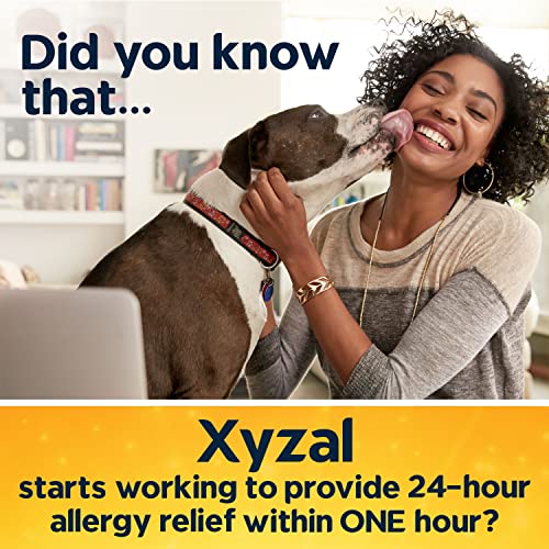 Xyzal Allergy Pills, 24-Hour Allergy Relief, 80-Count, Original Prescription Strength XyzalUS supplements