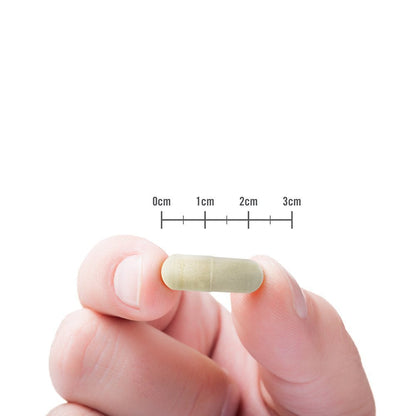 Naturewise Garcinia Cambogia (2 Month Supply) Pure Garcinia Cambogia NatureWiseUS supplements