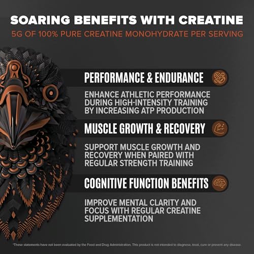Birdman Falcon Performance Vegan Protein Powder, 31g Protein, 5g Creatine, 5g BCAA BIRDMANUS supplements