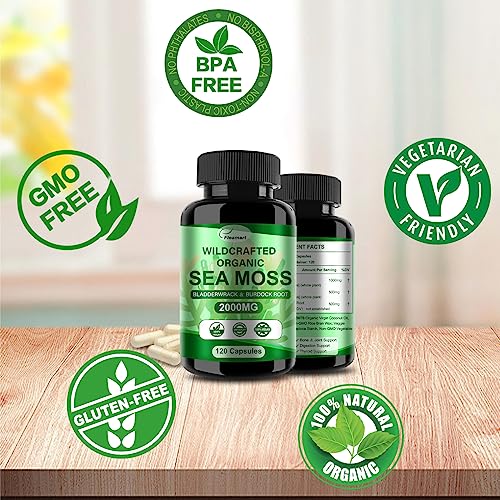 Fleamart 2 Pack Irish Sea Moss Capsules 120ct Raw Organic Sea Moss Wildcrafted Bladder FleamartUS supplements
