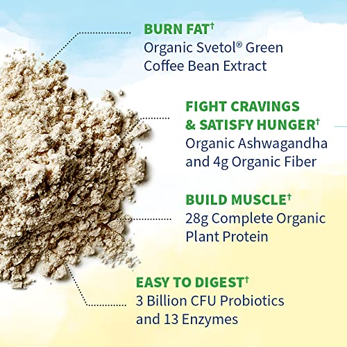 Garden of Life Raw Organic Fit Vegan Protein Powder Original, 28g Plant Based Protein Garden of LifeUS supplements