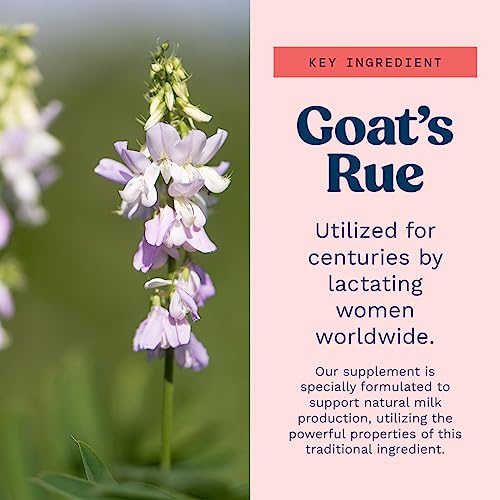 Goat's Rue Lactation Supplement For Increased Breast Milk, Lactation Supplement Mommy Knows BestAu supplements
