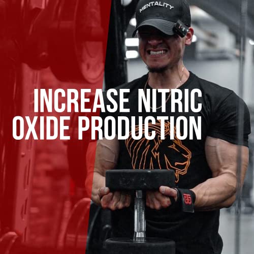 ALPHA LION Gains Candy, Supplement Pills for Muscle Pump & Blood Flow, Nitric Oxide ALPHA LIONUS supplements