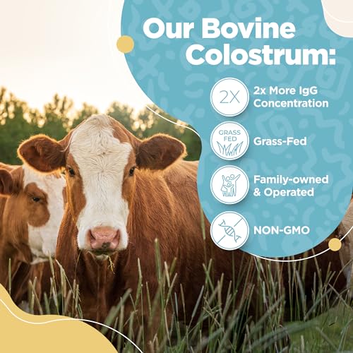 Bovine Colostrum Powder - 40% IgG Highly Concentrated Pure Bovine Colostrum InstaSkincareUS supplements