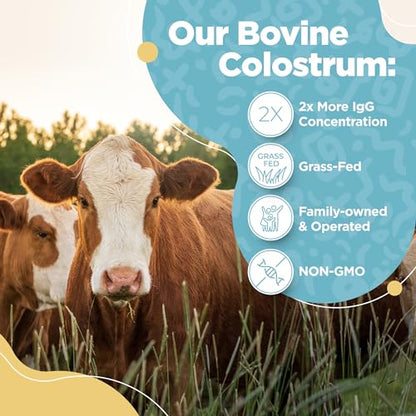 Bovine Colostrum Powder - 40% IgG Highly Concentrated Pure Bovine Colostrum InstaSkincareUS supplements