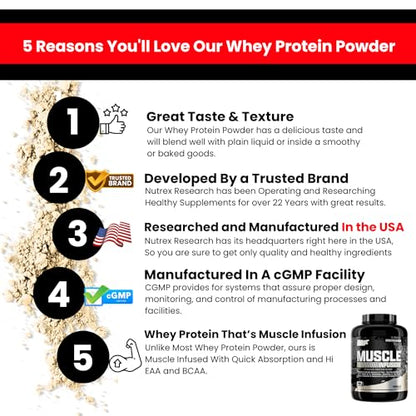 Nutrex Research Whey Protein Powder, Vanilla Muscle Infusion Whey Isolate w/EAA Nutrex ResearchUS supplements
