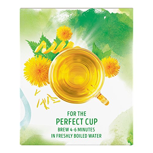Lipton Green Tea Bags, Herbal Supplement for Detox, 15 Count (Pack of 4) LiptonAu supplements
