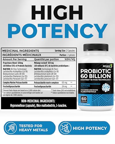 Renew Actives Probiotic Supplement for Digestive Health 60 Billion CFU per 2 Capsules - Advanced Formula with Prebiotic Benefits - Supports Gut Flora Balance & Wellness - Made in Canada - 60 Capsules Renew ActivesAu supplements