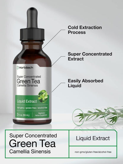 Green Tea Extract Liquid | 2 Fl Oz | Alcohol Free, Vegetarian Tincture | Super Concentrated HorbäachUS supplements