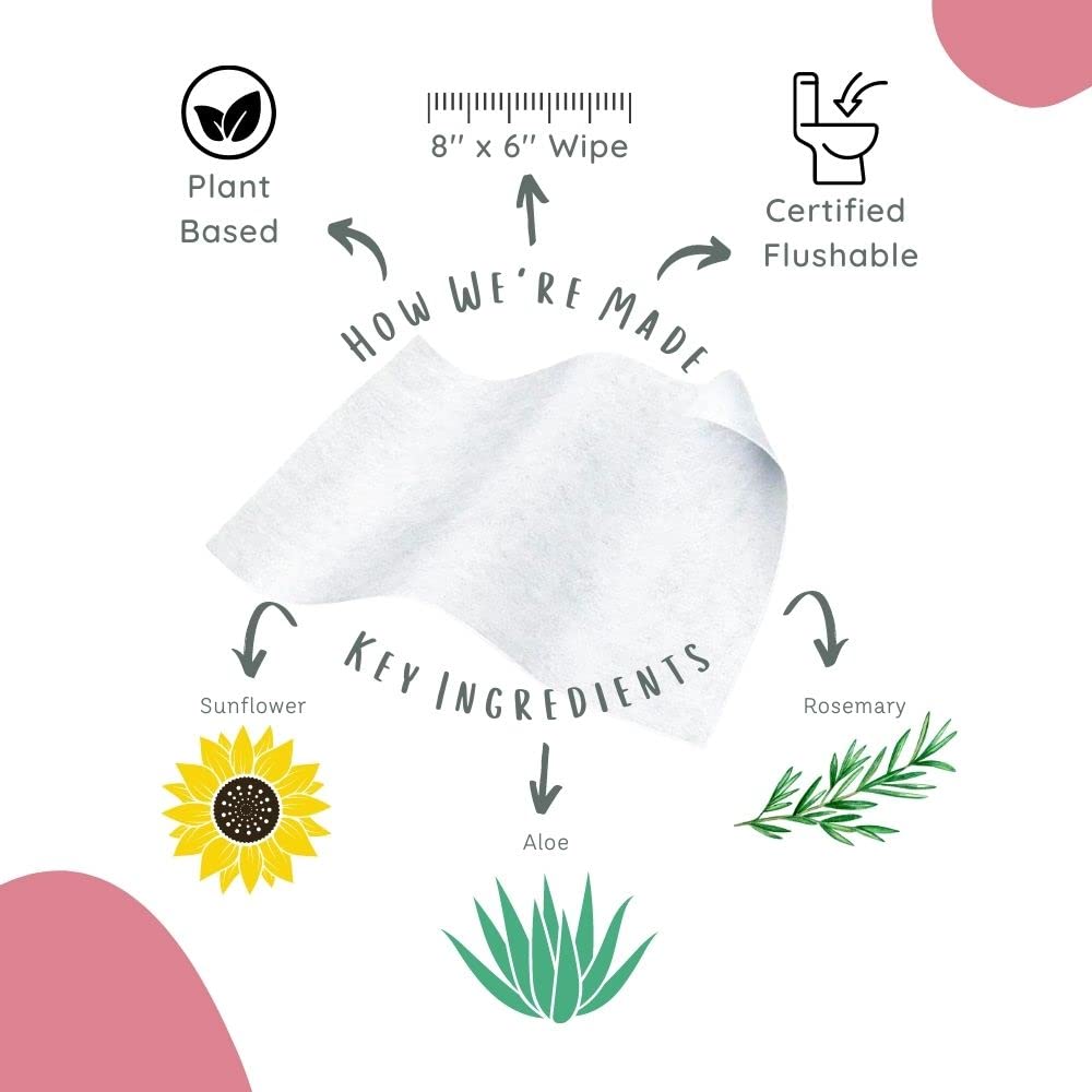 Stall Mates Wipes Feminine Fresh - Flushable | Individually Wrapped Cleansing Travel Friendly PH Stall Mates WipesAu supplements