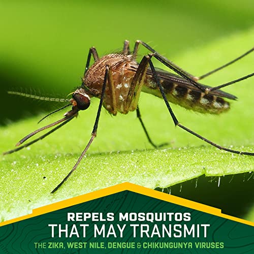 Repel Plant-Based Lemon Eucalyptus Insect Repellent, Mosquito Repellent RepelAu supplements