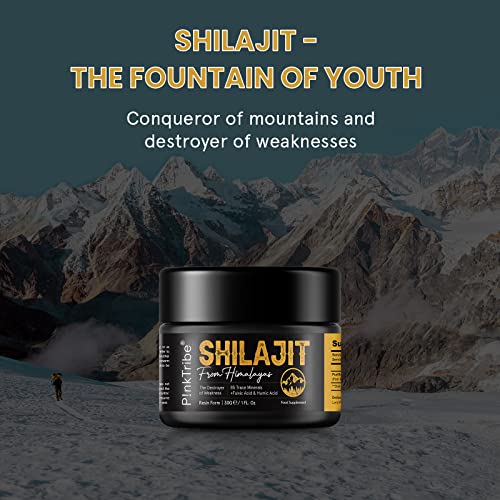 Shilajit Resin, Original Himalayan Shilajit 30g - Gold Grade 100% Pure, Rich in Fulvic P!nkTribeUS supplements