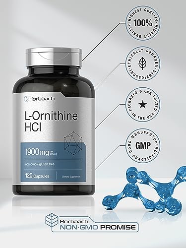 L Ornithine HCl | 1900mg | 120 Capsules | Non-GMO & Gluten Free Supplement HorbäachUS supplements