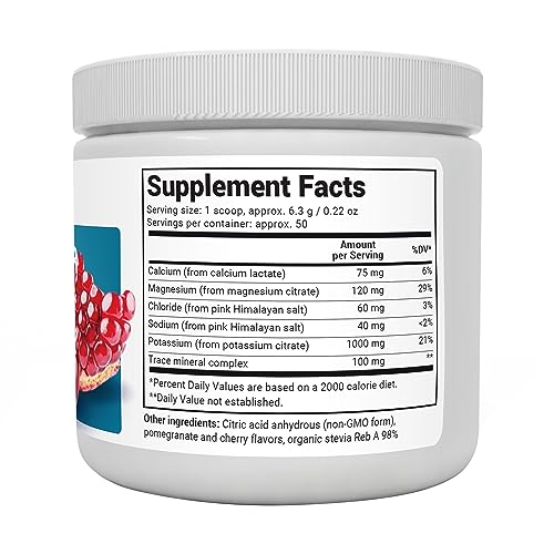 Dr. Berg Hydration Keto Electrolyte Powder - Enhanced w/ 1,000mg of Potassium Dr. Berg NutritionalsUS supplements