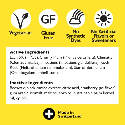 Bach RESCUE PASTILLES, Cranberry Flavor, Natural Stress Relief Lozenges RESCUEAu supplements