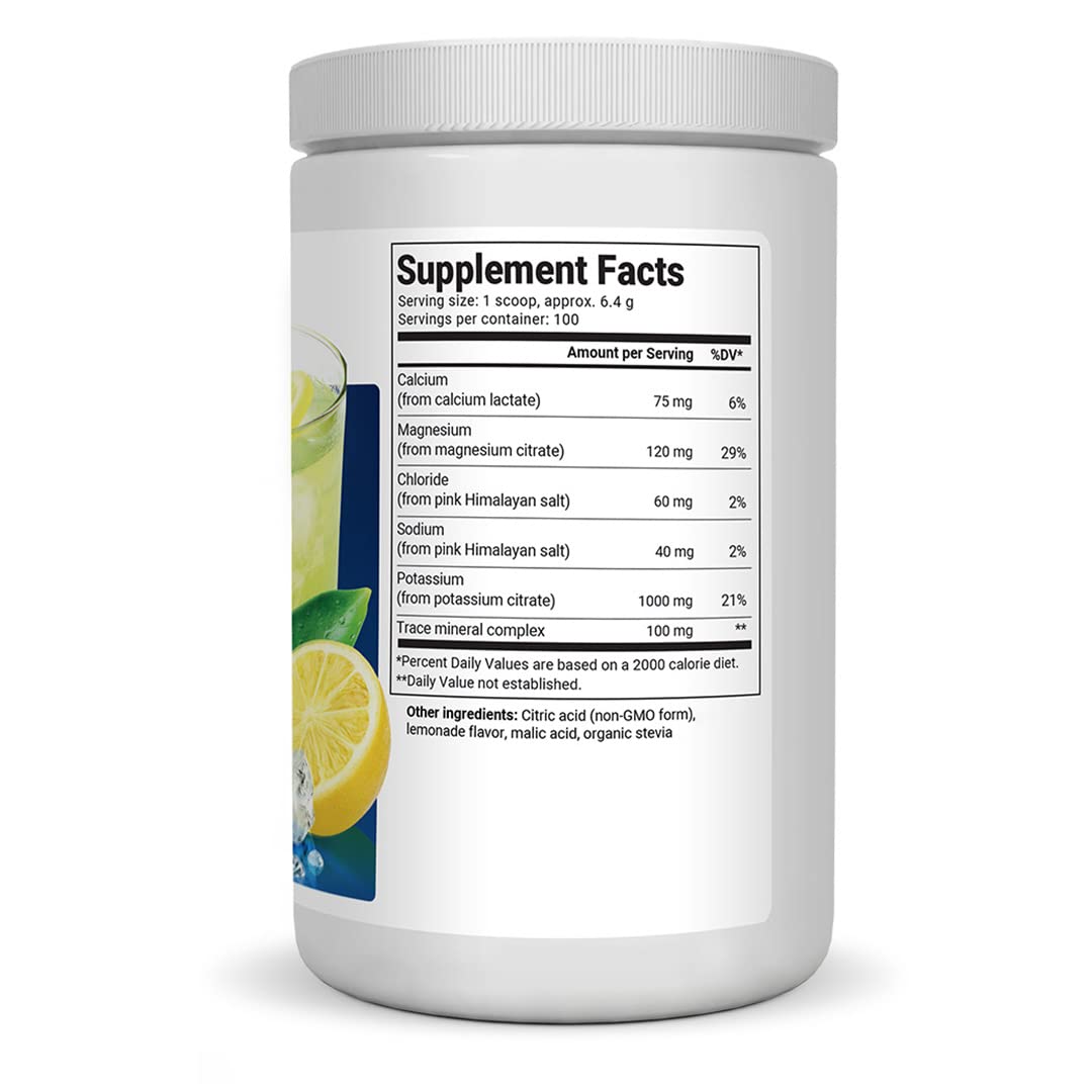 Dr. Berg's Electrolyte Powder 100 Servings Bundle - Raspberry Lemon & Lemonade Dr. Berg NutritionalsUS supplements