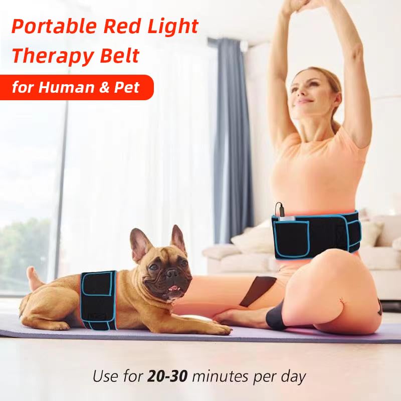 Red Light Therapy Belt, 660&850nm 3 -in-1 Big Chips Near Infrared Therapy Wrap for Body HEDYNSHINEAu supplements
