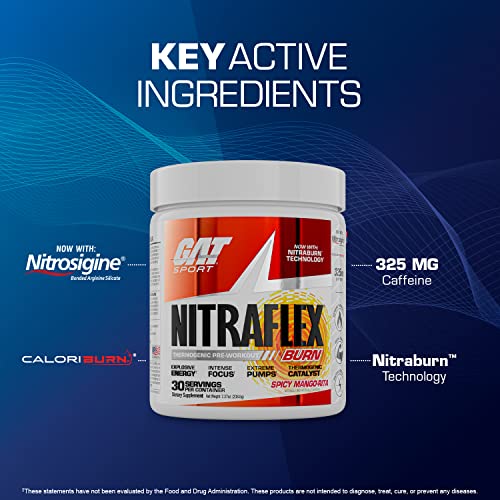 GAT SPORT NITRAFLEX Burn, Pre Workout Thermogenic Powder, Apple Melon, 30 Servings GAT SPORTUS supplements