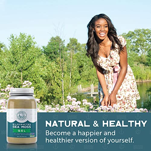 Herbal Vineyards Natural Organic Wildcrafted Gold Raw Sea Moss Gel for Immune Support Herbal VineyardsUS supplements
