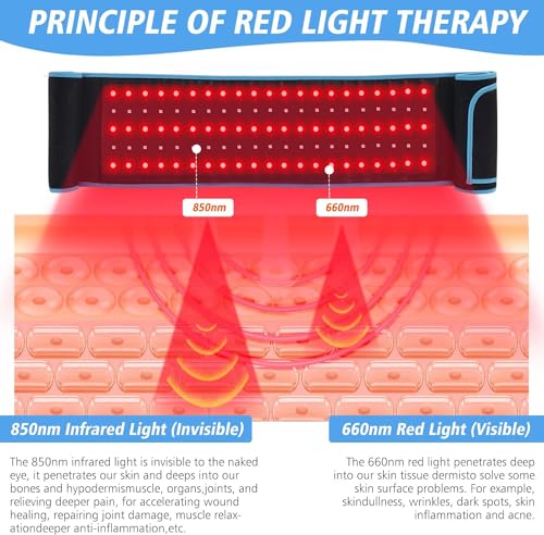 Red Light Therapy Near Infrared Light Therapy Wrap Belt for Body with Timer for Waist Back Shoulder AKYSUNAu supplements