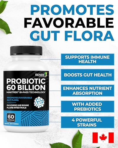 Renew Actives Probiotic Supplement for Digestive Health 60 Billion CFU per 2 Capsules - Advanced Formula with Prebiotic Benefits - Supports Gut Flora Balance & Wellness - Made in Canada - 60 Capsules Renew ActivesAu supplements