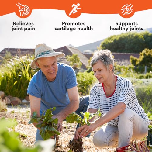 LifeSeasons Mobili-T - Joint Support Supplement - Reduces Aches & Discomforts - Increase Range of Motion - Rebuild Tissue & Cartilage - MSM Chondroitin Collagen Glucosamine & Turmeric - 208 Capsules LifeSeasonsAu supplements