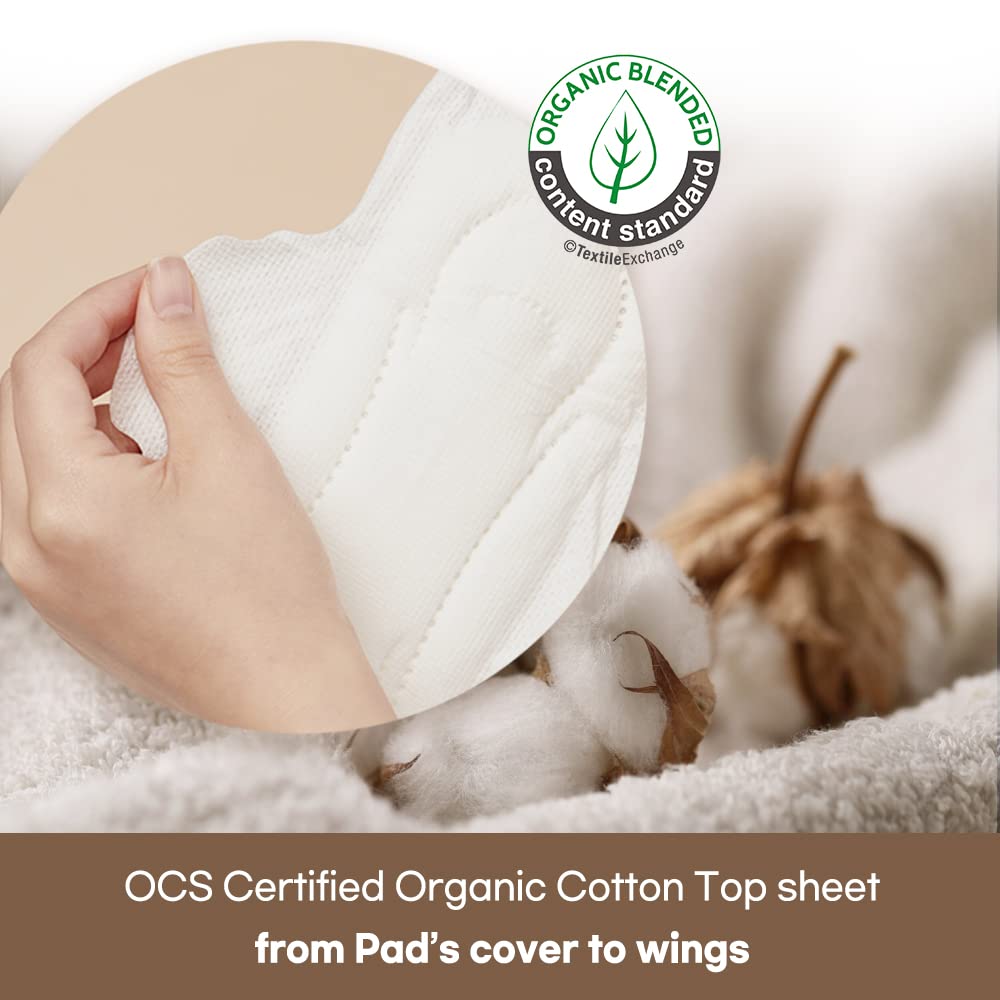 SANDEULSANDEUL Sensitive Plus Organic Pads Long/Large - Heavy Absorbency, Unscented SANDEULSANDEULAu supplements