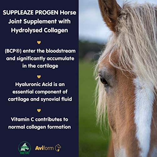 Aviform SUPPLEAZE PROGEN Horse Joint Supplement with Hydrolysed Collagen 1kg AviformAu supplements