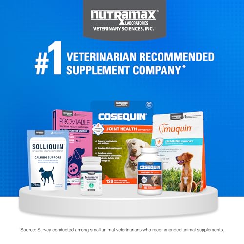 Nutramax Cosequin Joint Health Supplement with Multifunctional Support for Dogs, Soft Chews with Glucosamine, Chondroitin, Omega-3s, and Postbiotics, 90 Count Nutramax LaboratoriesAu supplements