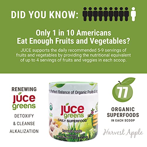 Terra Kai Organics JUCE Green Superfood Powder, Organic Fruits and Veggies Supplement Terra Kai OrganicsUS supplements