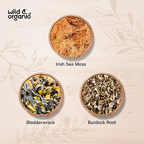Sea Moss Capsules - 180 Caps Wildcrafted Irish Moss, Burdock Root & Bladderwrack Wild & OrganicUS supplements