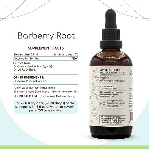 Barberry Root B120 Alcohol-Free Herbal Extract Tincture, Concentrated Liquid Drops Natural Barberry HerbEraAu supplements
