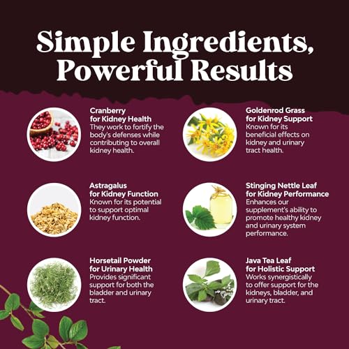Kidney Support Cranberry Supplement for Women and Men - High Strength Kidney Natures CraftAu supplements