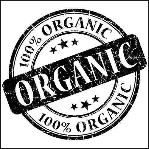Canah Hemp Up Organic Protein Shake Powder – Muscle gain & Boost up Immune System, HEMP UP!Au supplements