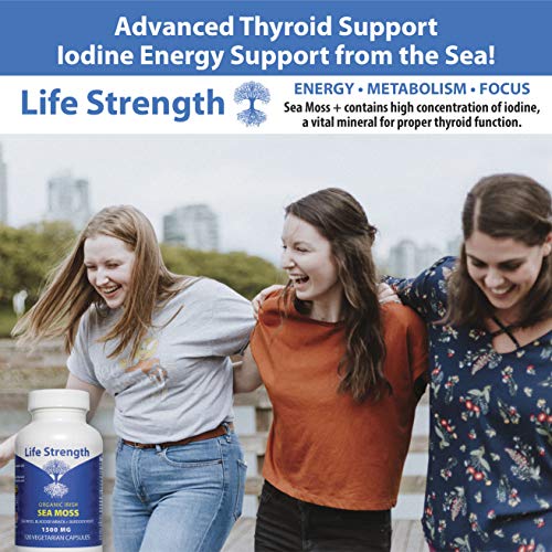 Life Strength Organic Sea Moss 120 CT Wildcrafted Irish Sea Moss and Bladderwrack Burdock Life StrengthUS supplements