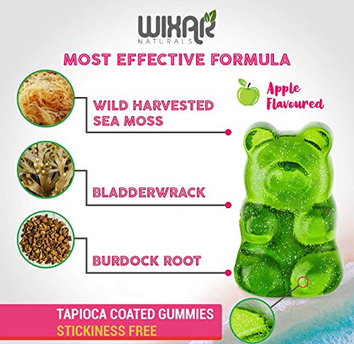 WIXAR NATURALS Sea Moss Gummies - Natural Irish Sea Moss and Bladderwrack WIXAR NATURALSUS supplements