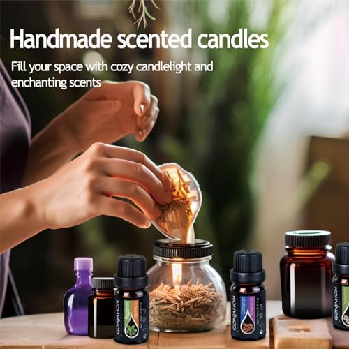 KMSCO Essential Oils Set -Top 16(0.33Fl Oz) Organic Plant Natural Fragrance Scents Blends Oil KMSCOAu supplements