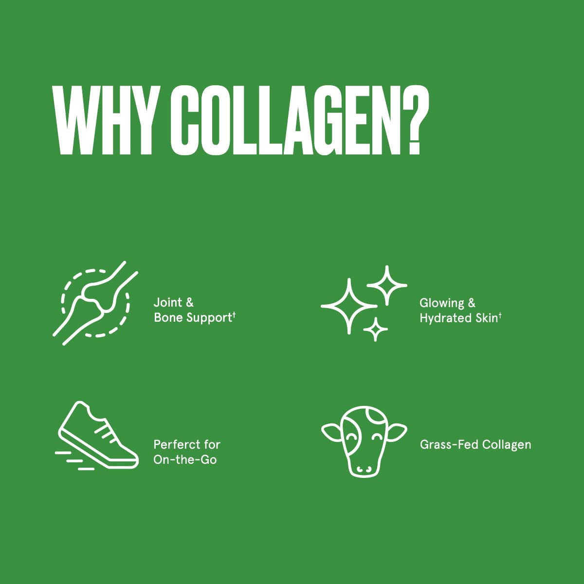 Bulletproof Unflavored Collagen Peptides Powder Packets, Pack of 15, Grass-Fed Collagen BulletproofUS supplements