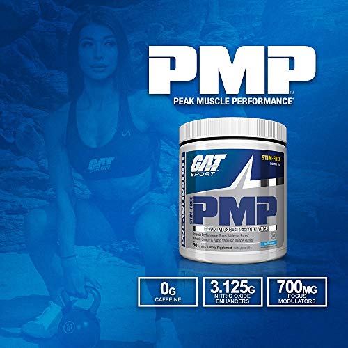 GAT PMP (Peak Muscle Performance), Next Generation Pre Workout Powder for Intense GAT SPORTAu supplements
