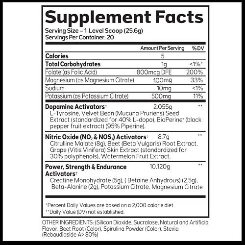 Advanced Molecular Labs - Pre Workout Powder, Increases Drive, Performance Enhancer AML ADVANCED MOLECULAR LABSAu supplements