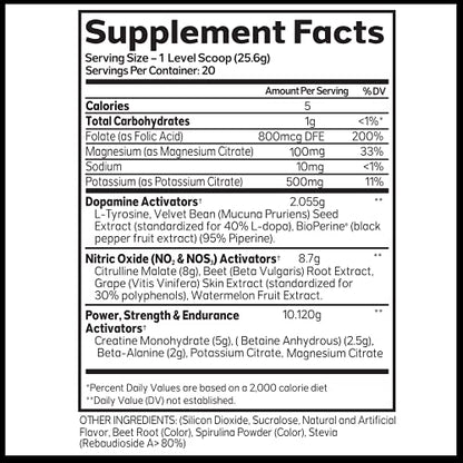 Advanced Molecular Labs - Pre Workout Powder, Increases Drive, Performance Enhancer AML ADVANCED MOLECULAR LABSUS supplements