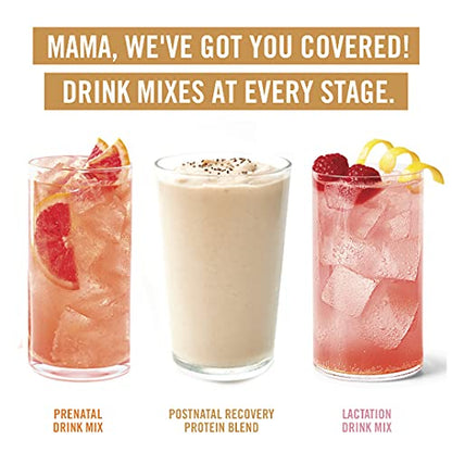 Munchkin Milkmakers Postnatal Recovery Protein Powder with Pea Protein, Lactation MunchkinUS supplements