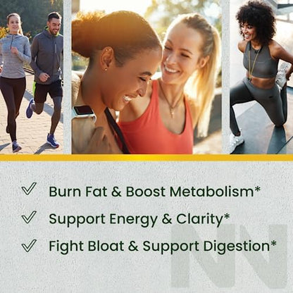 Nobi Nutrition Green Tea Fat Burner Gummies for Weight Loss | Metabolism Boost Nobi NutritionUS supplements