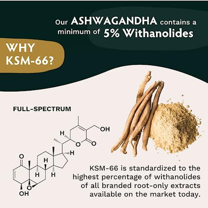 TRIBE ORGANICS Vegan Ashwagandha KSM 66 Pure Organic Root Powder Extract Ayurvedi TRIBE ORGANICSUS supplements