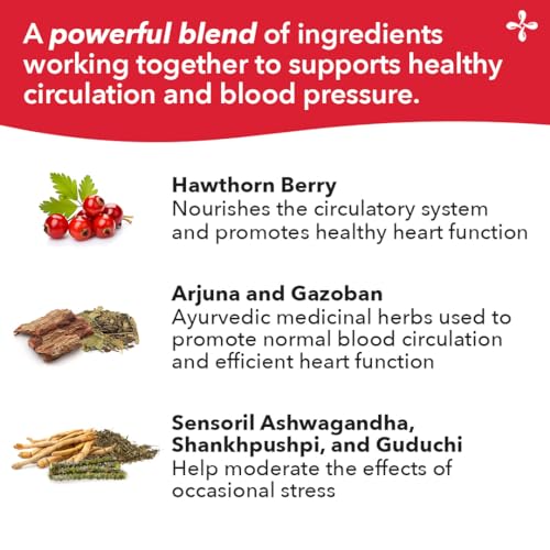 LifeSeasons B/P Stabili-T - Blood Pressure Support - Vitamin Supplement for Healthy Heart & Circulation - Ashwagandha, Arjuna & Hawthorn Berry - 240 Capsules LifeSeasonsAu supplements