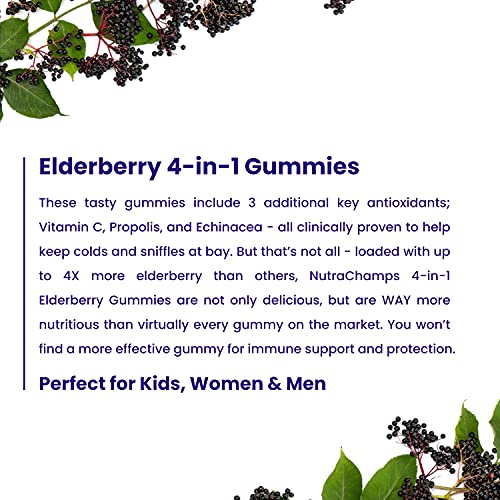 NutraChamps Elderberry Gummies with Vitamin C, Propolis & Echinacea NutraChampsAu supplements