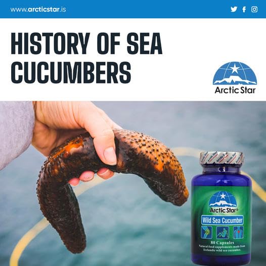 Arctic Star - Sea Cucumber Capsules - Natural Pure Iceland Atlantic Wild Caught Sea Cucumber Extract Supplement Pills - Joint Health t & Immune Health 400mg 80 Capsules/Bottle Arctic StarAu supplements