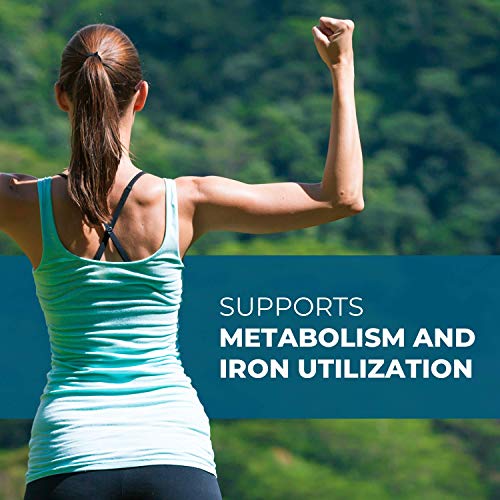 Seeking Health Molybdenum 500, Molybdenum Glycinate Chelate Supplement Seeking HealthAu supplements